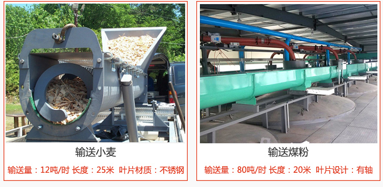 绞龙螺旋输送机输送小麦输送量在12吨/时，长度为25米，叶片采用不锈钢材质；输送水泥输送量在80吨/时，长度为20米，叶片设计为有轴。