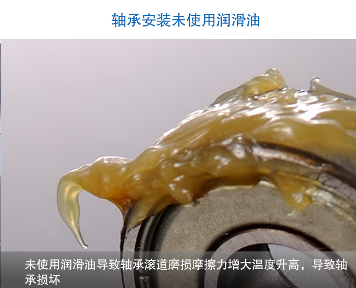 圆妖精视频网站入口